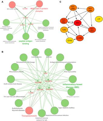 Prioritization of Diagnostic and Prognostic Biomarkers for Lupus Nephritis Based on Integrated Bioinformatics Analyses